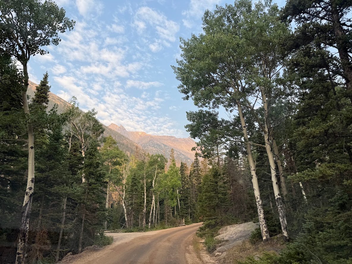 Driving Into the Wild: A Sensory Journey Along Old Fall River Road