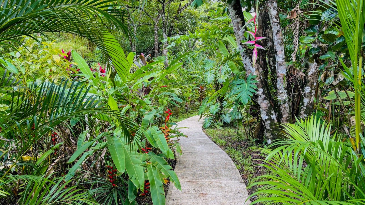 Modern House For Sale With Jungle View, Peaceful Stream, and Rental Cabins