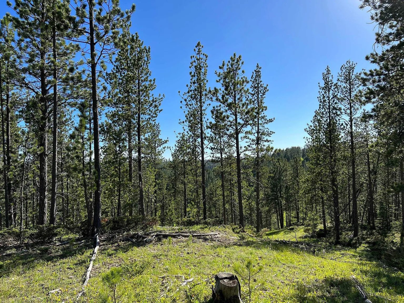 Lot 5 Boles Canyon Rd