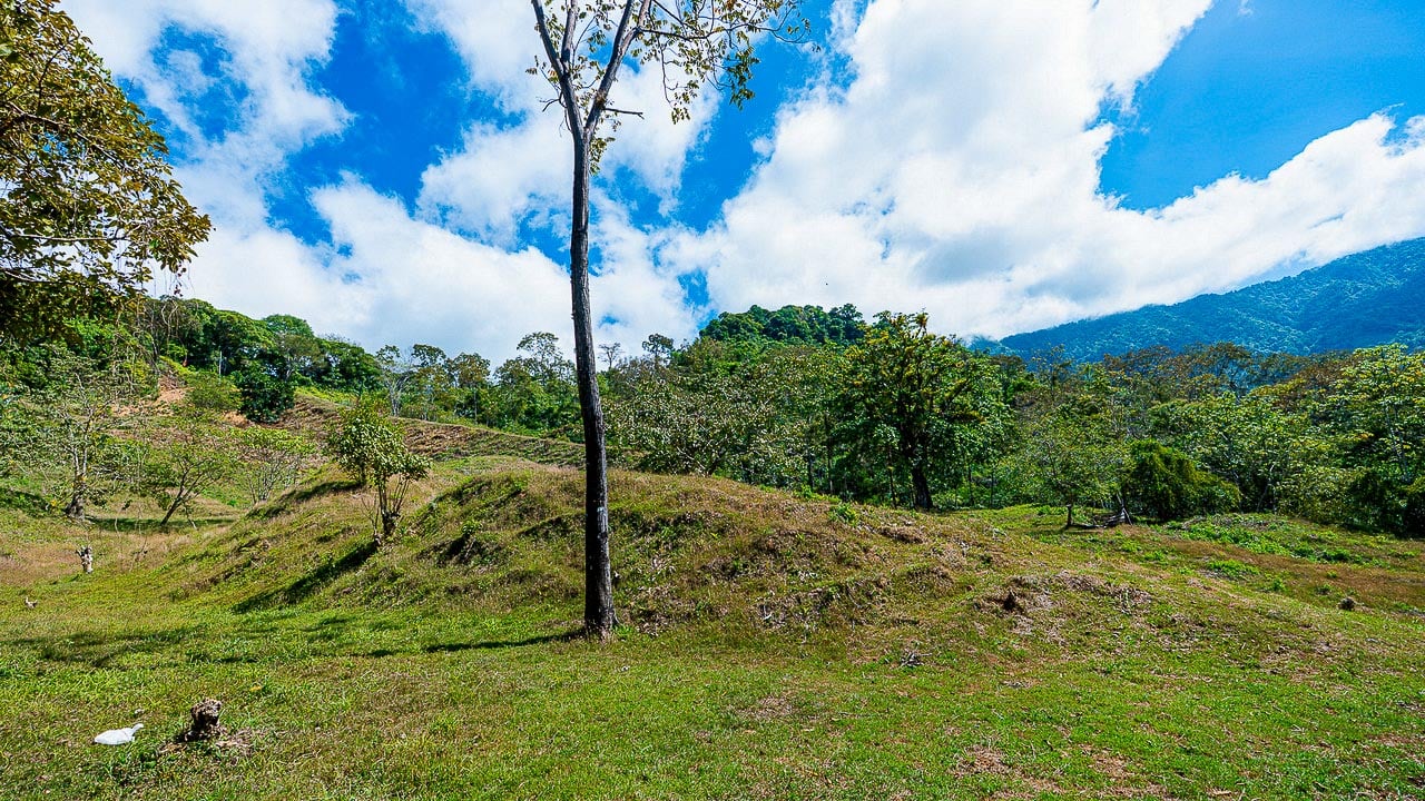 Whale Tail Views Luxury Waterfall Farm