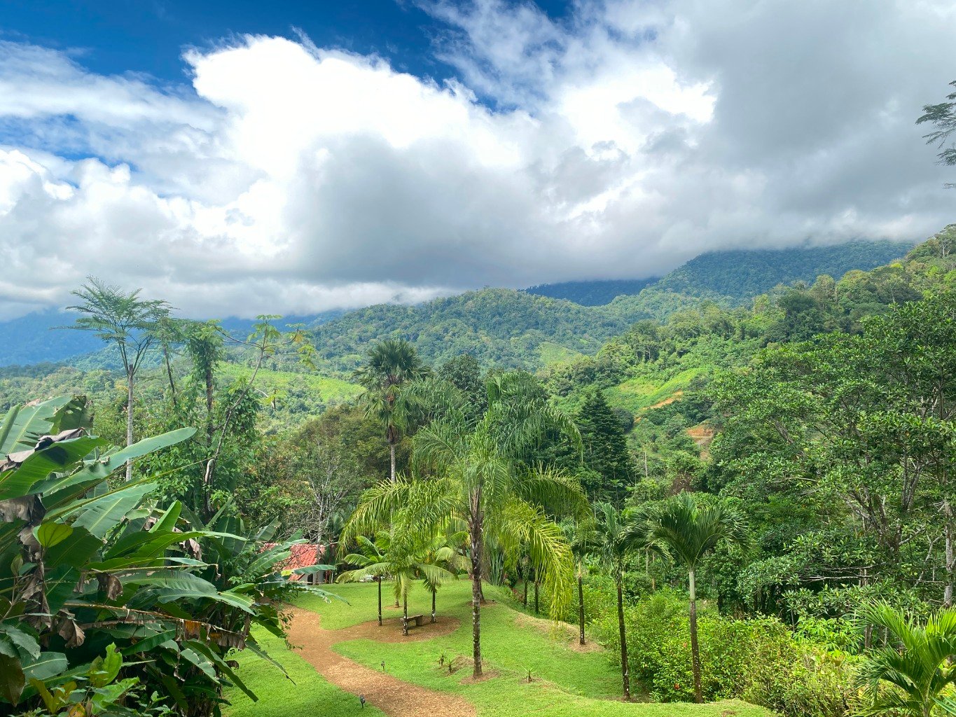 Stunning 3.5-Acre Ocean View Property in Costa Rica – Endless Possibilities Await!