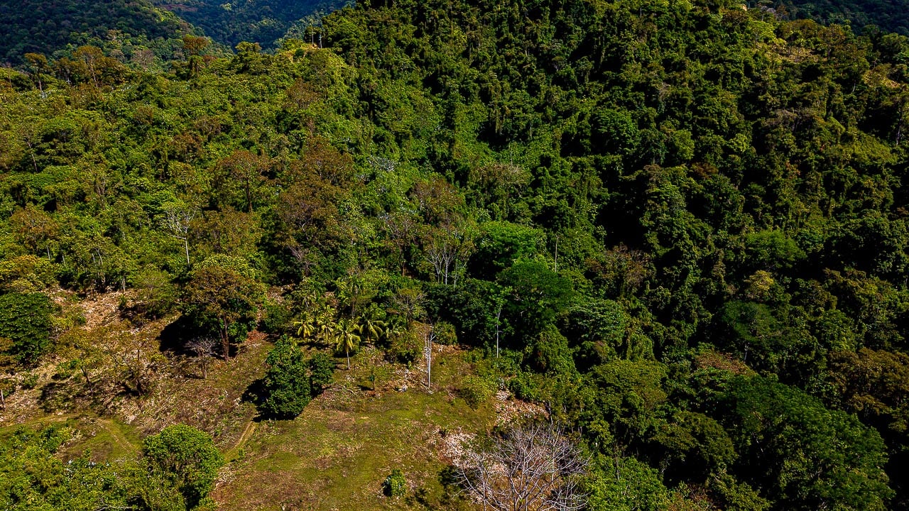 Whale Tail Views Luxury Waterfall Farm