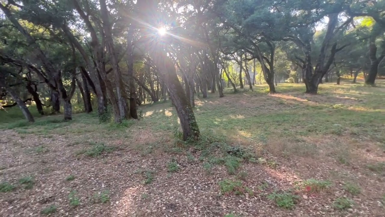 9 Garzas Trail in the Santa Lucia
