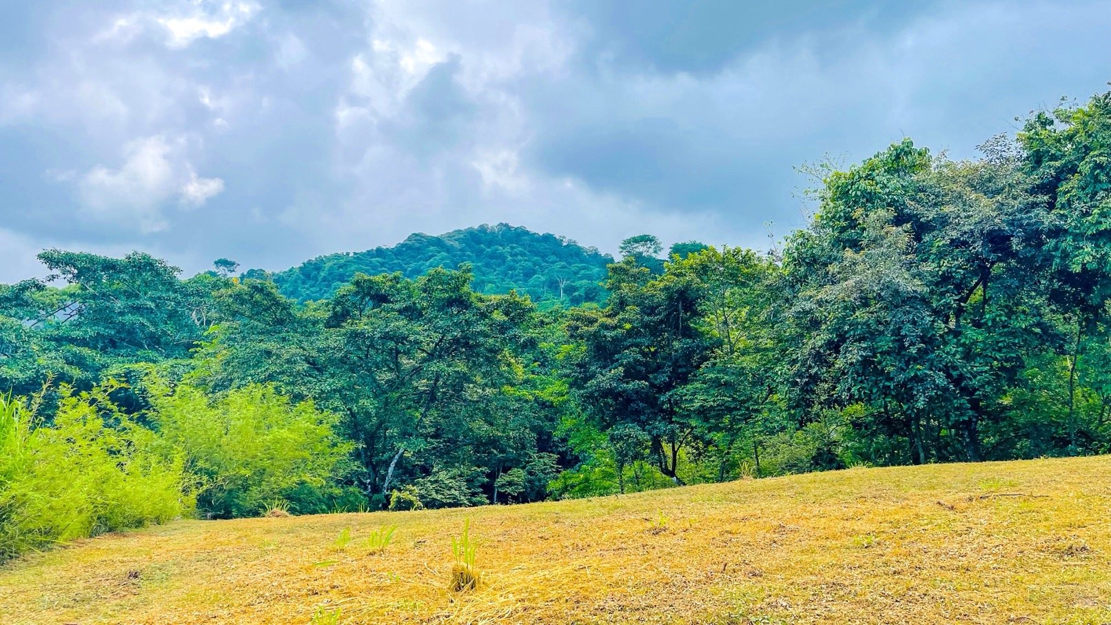 COSTA RICA LAND FOR SALE | LARGE FLAT PRIVATE PROPERTY WITH MOUNTAIN VIEWS, RIVER & FRUIT TREES