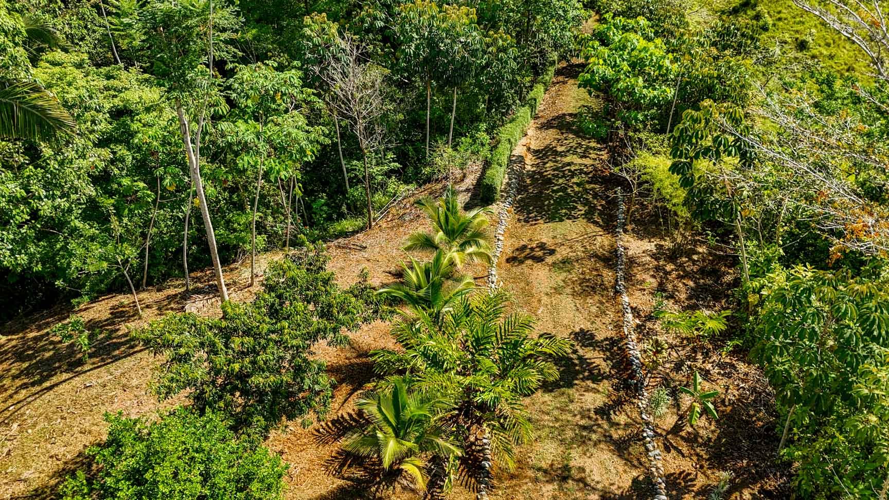 32-Acre Self-Sustainable Off-Grid Farm Near Ojochal with House, Solar Power & River