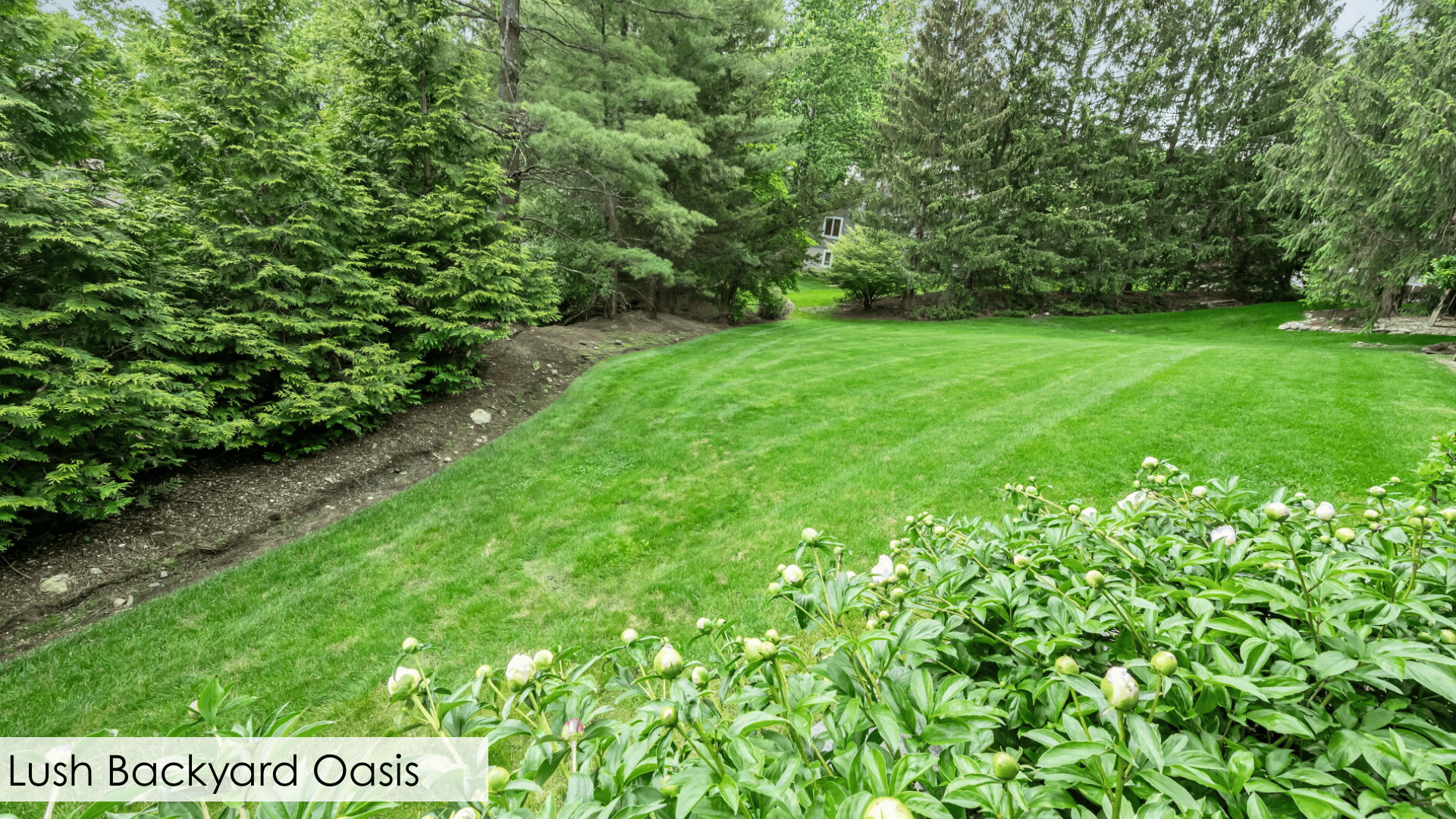 201 Van Winkle Lane