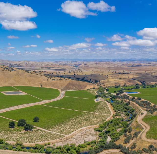 Joseph Vineyard | 76987 Nacimiento Lake Drive
