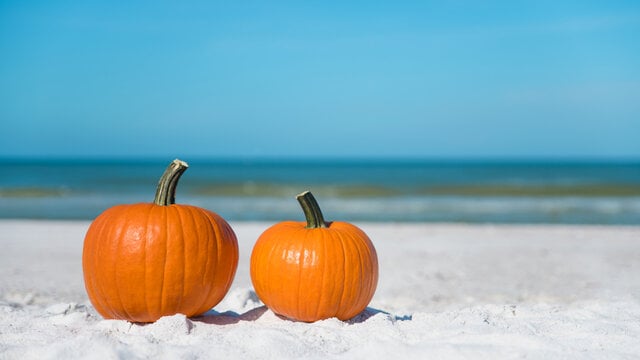 Two orange pumpkins on white beach sand beside the blue ocean.