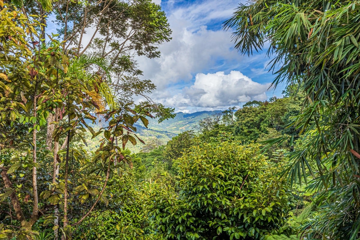 1.37 ACRES – 2 Bedroom Bali Style Home With Pool And THE BEST Ocean View!!!!!