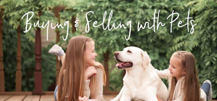 Buying and Selling with Pets
