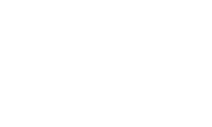 logo {{@index}}