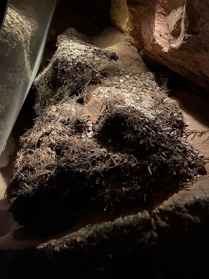 Exploring Cave of the Winds: Colorado’s Underground Adventure