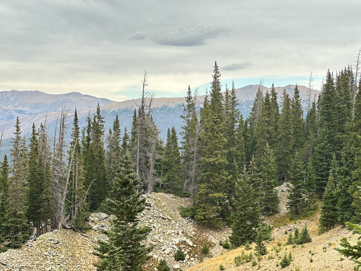 Where the Road Meets the Sky: Driving Trail Ridge Road