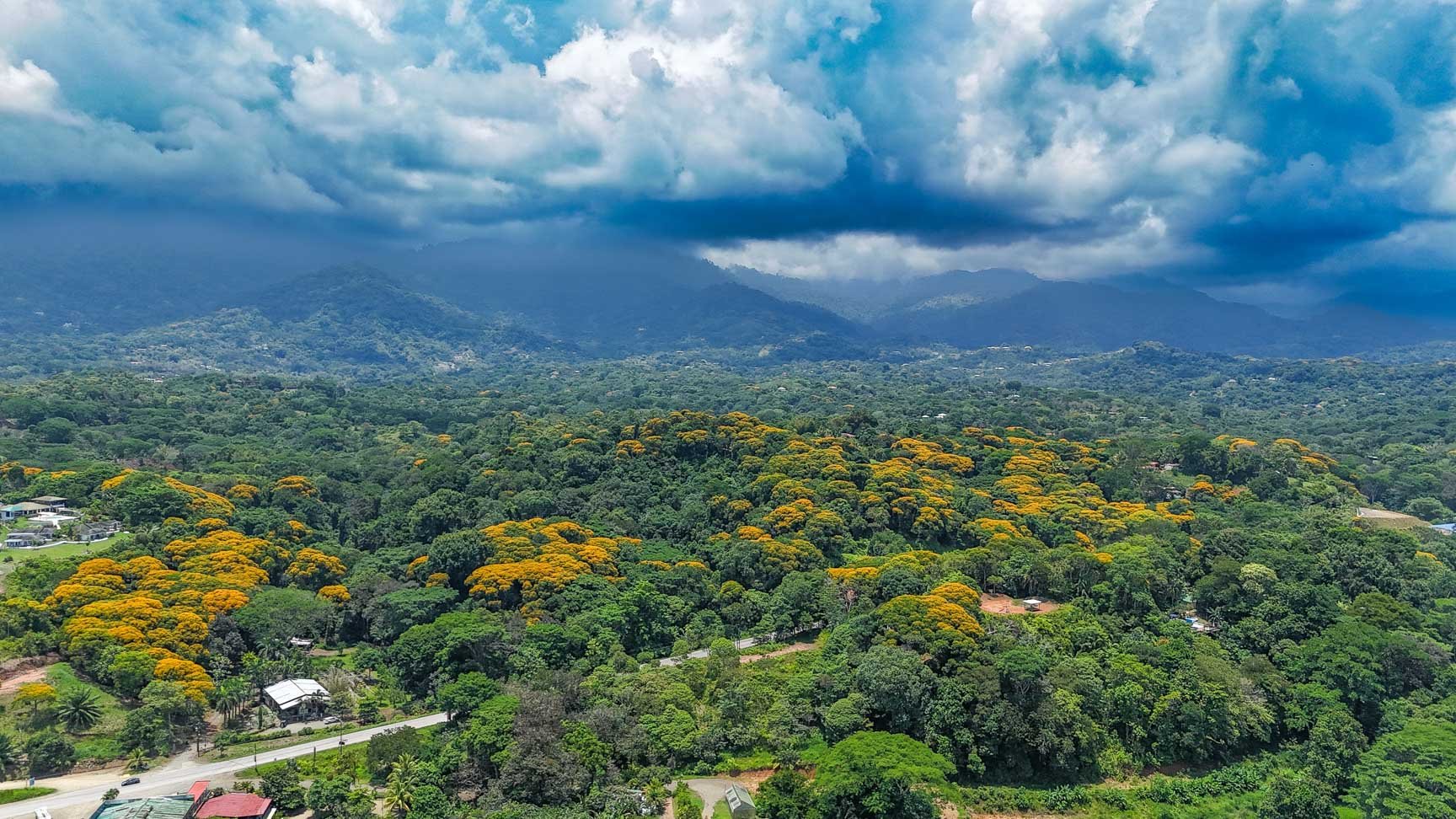 23-Acre Prime Highway Frontage Lot Near Ojochal & Ocean