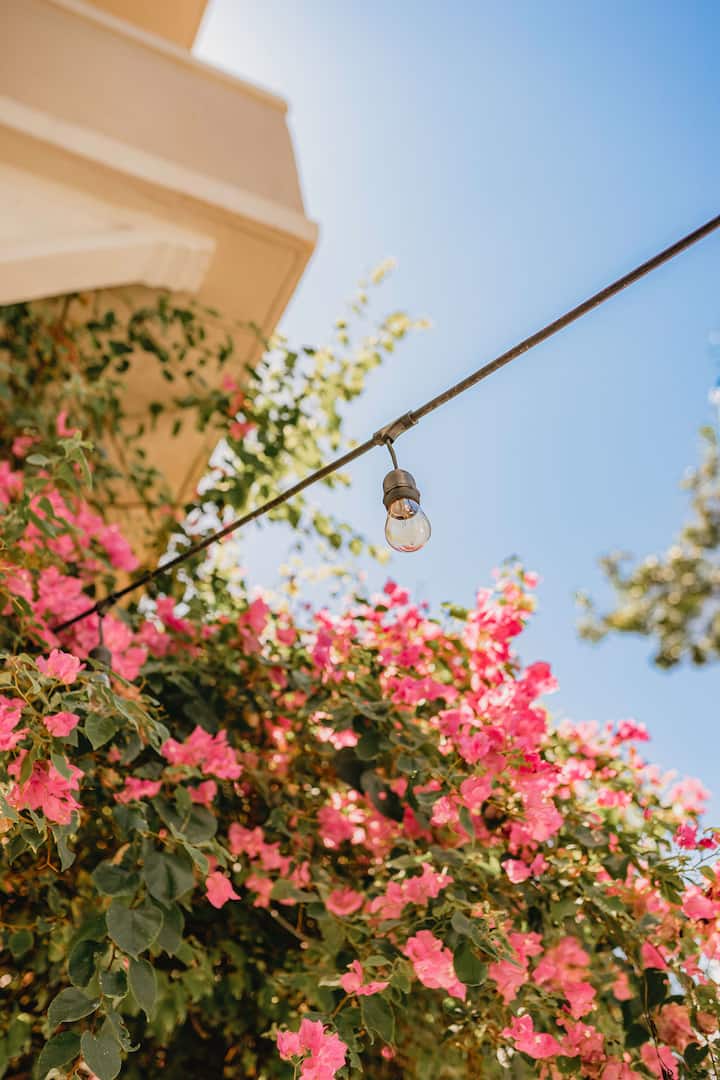 Casa Terra Porto #4 • Rooftop Access Full Kitchen - Airbnb