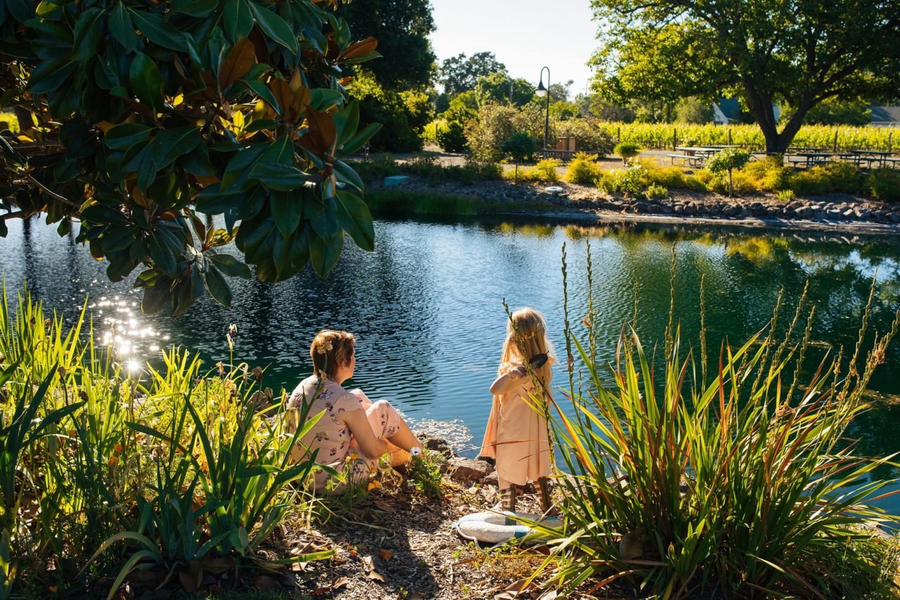 10 Kid-Friendly Wineries in Sonoma County