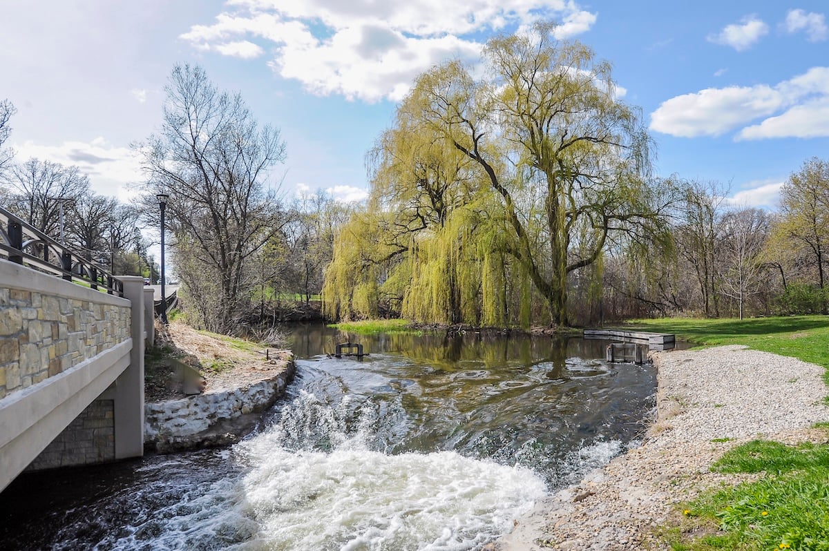 Creek corridor and mature landscaping near Minnehaha Woods in Edina