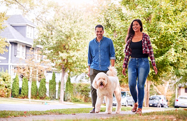 Finding the Perfect Home