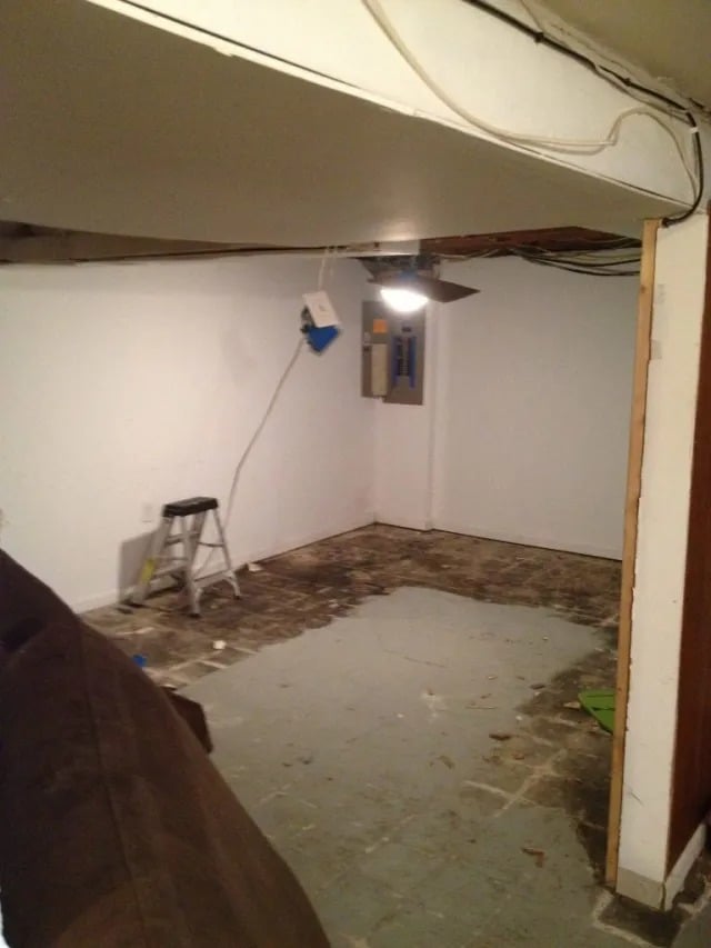 Basement Renovation-Day 1