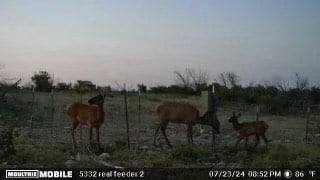 Tract 24 High Lonesome Rd # 24