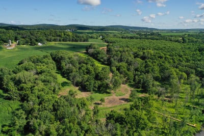 Shire Wood - August Update