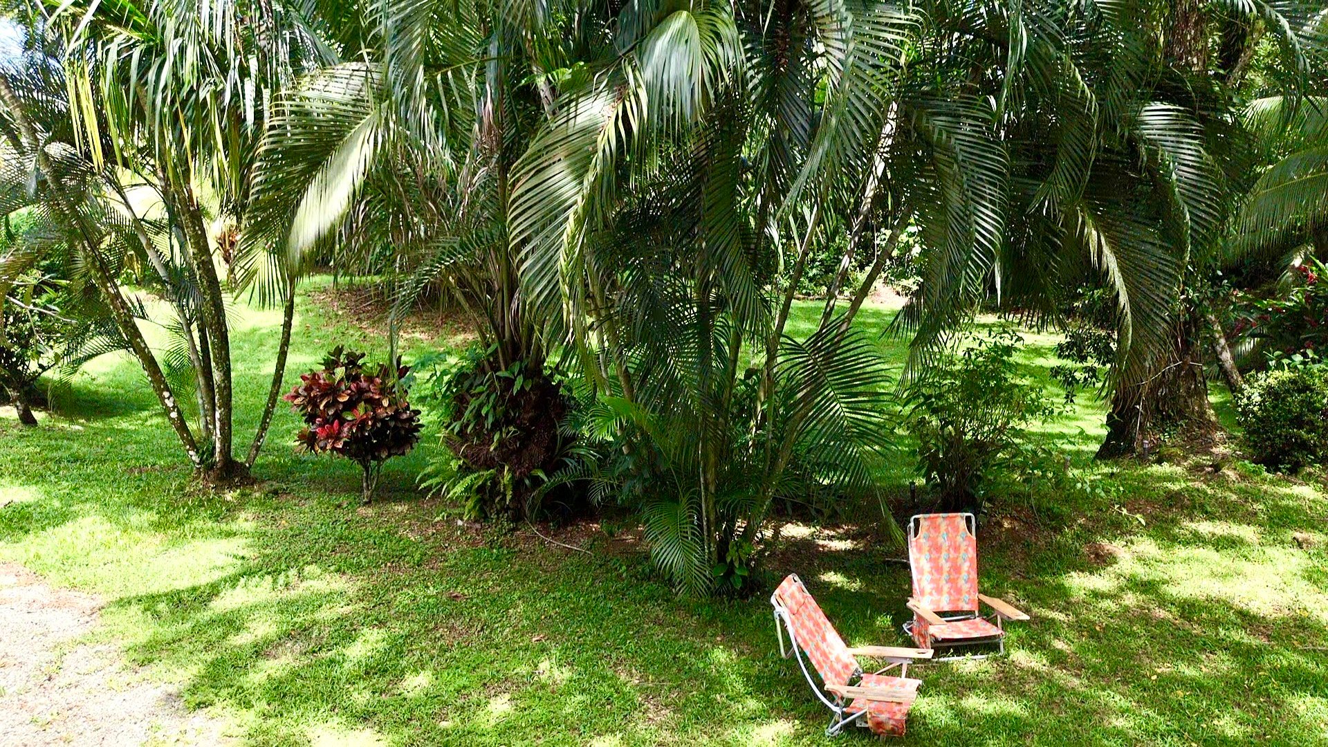 Riverside Cabin in Uvita | 0.98-Acre Estate with Room to Expand