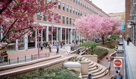 South End Boston shopping and attractions