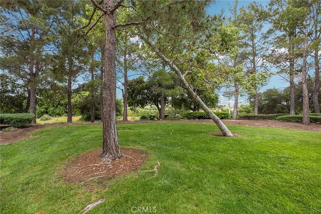 27 Timbre, Rancho Santa Margarita, CA 92688