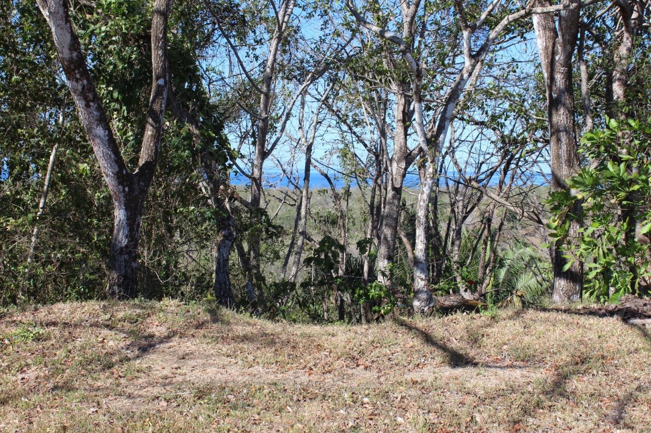 San Juanillo Farm | Large-Scale Ocean View Land with Investment Potential