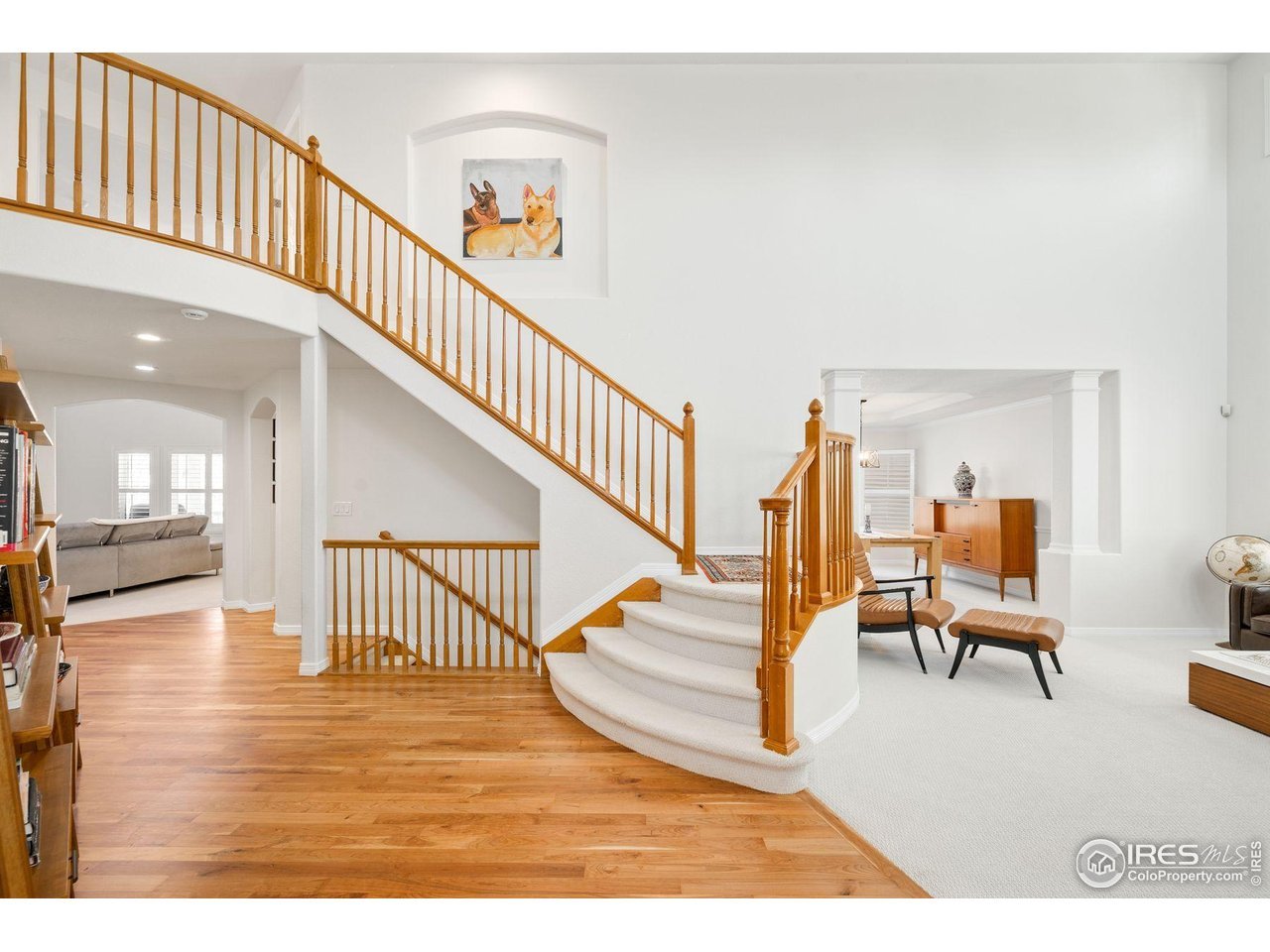 1427 Cannon Mountain Dr