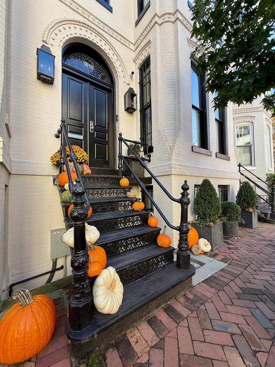 Georgetown in the Fall: Pumpkin-Lined Doorways and a Village Feel