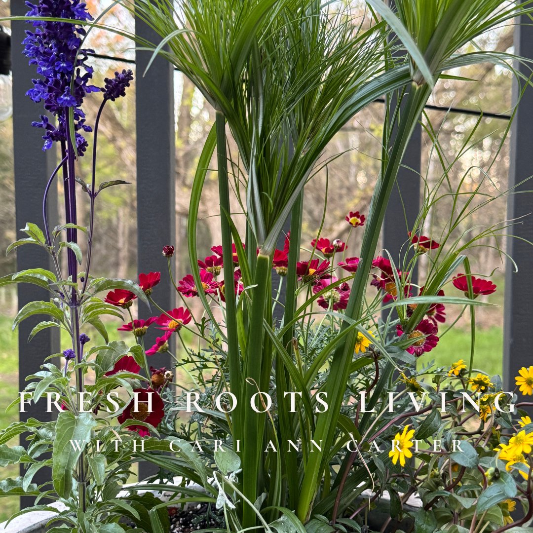 Build a Stunning Planter