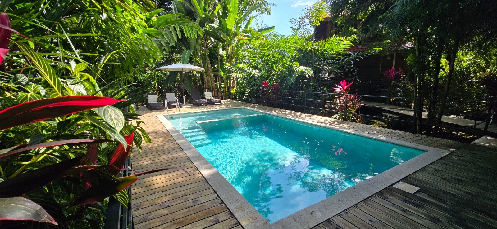 FIRE SALE ! Beautiful hotel in the heart of Ojochal, in Costa Rica’s most desirable areas.