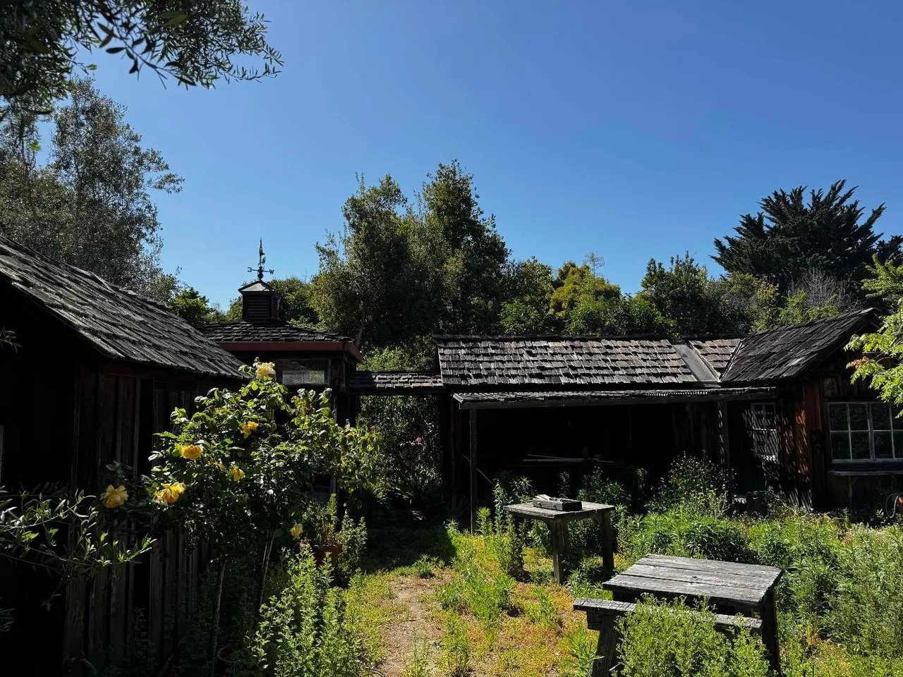 9000 Carmel Valley Road