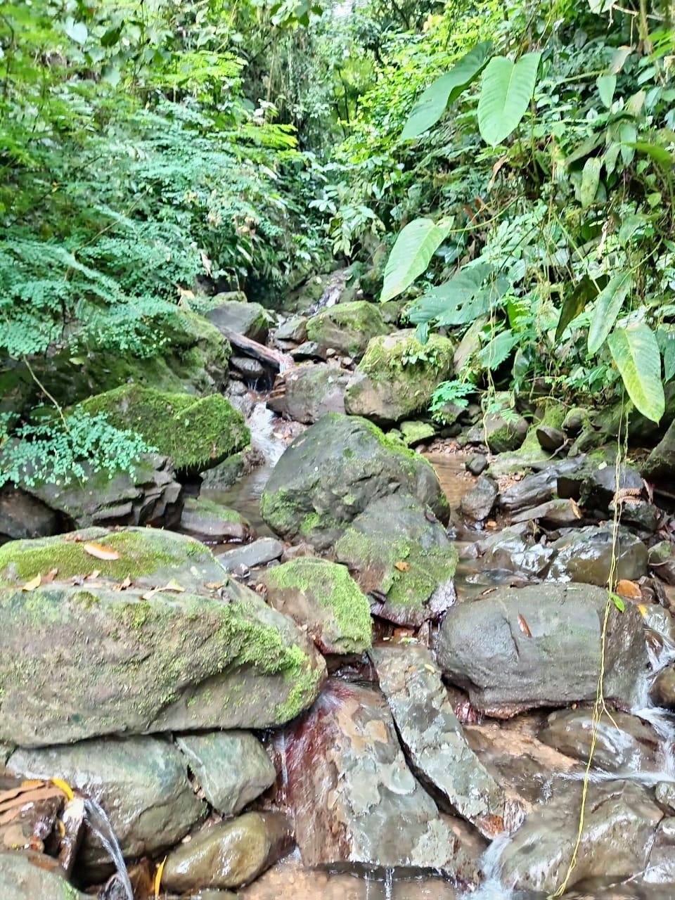 Los Cerritos Farm – 6.4 Acres of Ocean & Mountain Serenity