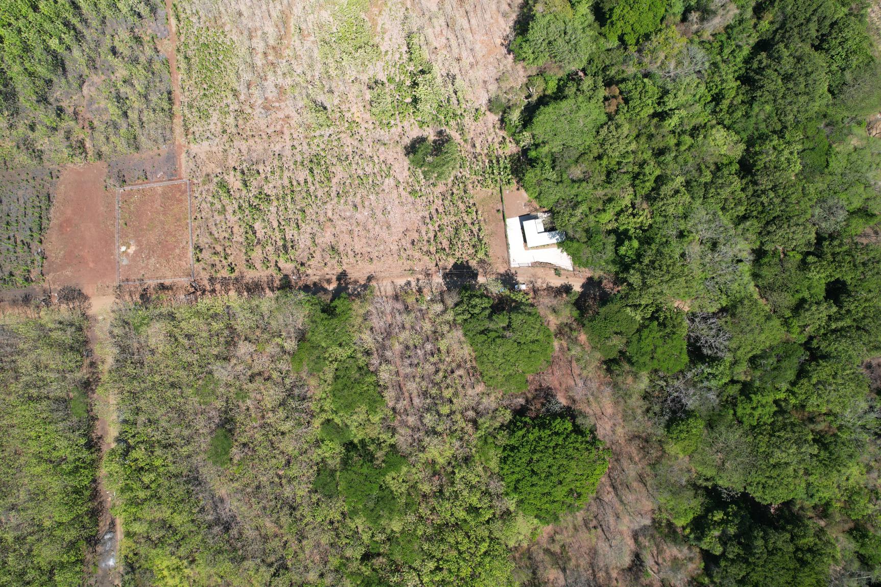 Flat Mixed-Use Land for Sale | Lot #8: Development Opportunity Near Avellanas