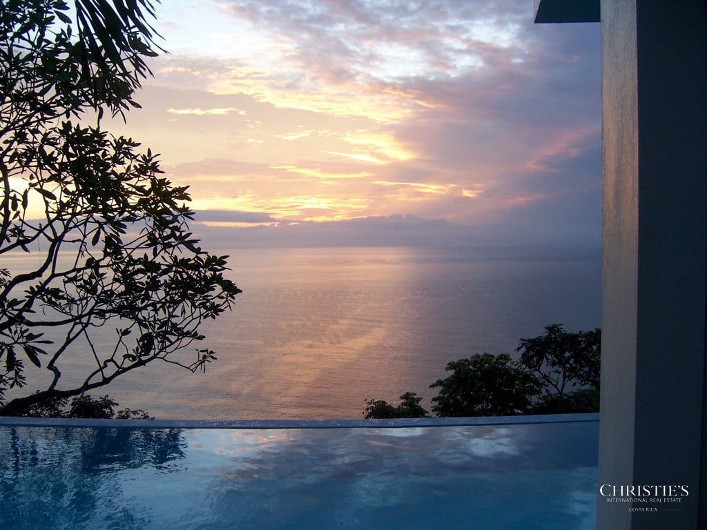 Jungle and Ocean Architectural Masterpiece