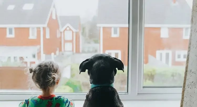A child and a dog looking out a window. The scene is warm and inviting, depicting a sense of curiosity and companionship.