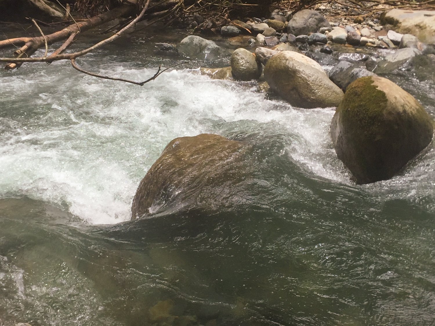 REDUCED! 77-Acre Mountain Paradise with Waterfalls & Epic Views in Santa Elena 