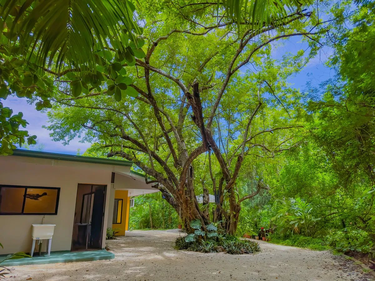 Casa Hiller