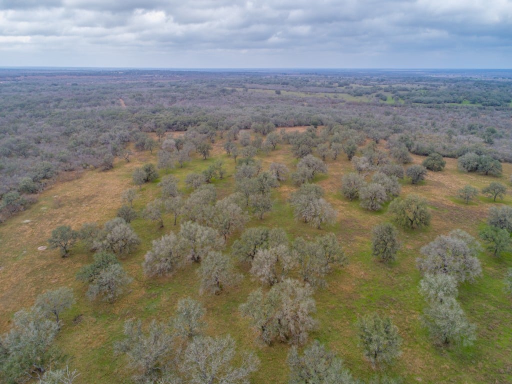 300 Acres in Goliad County 