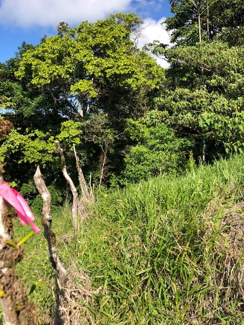 1.24 ACRES – Alto de San Juan, TOP OF THE WORLD VIEWS, Cool Breezes, Ready to Build Your Dream!!!!!
