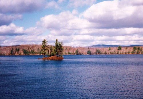 Gull Pond Case Seller Case Study