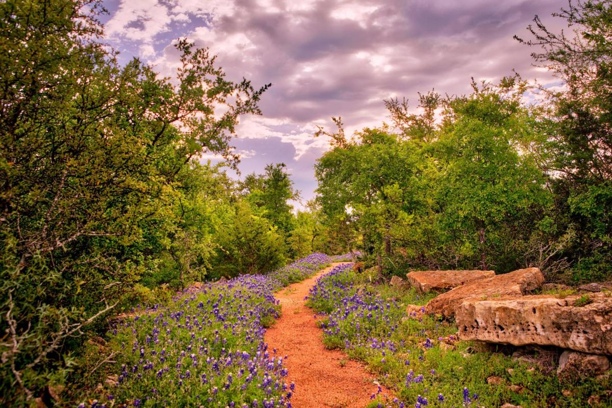 What It’s Really Like Living in Dripping Springs Texas (A Local’s Perspective)