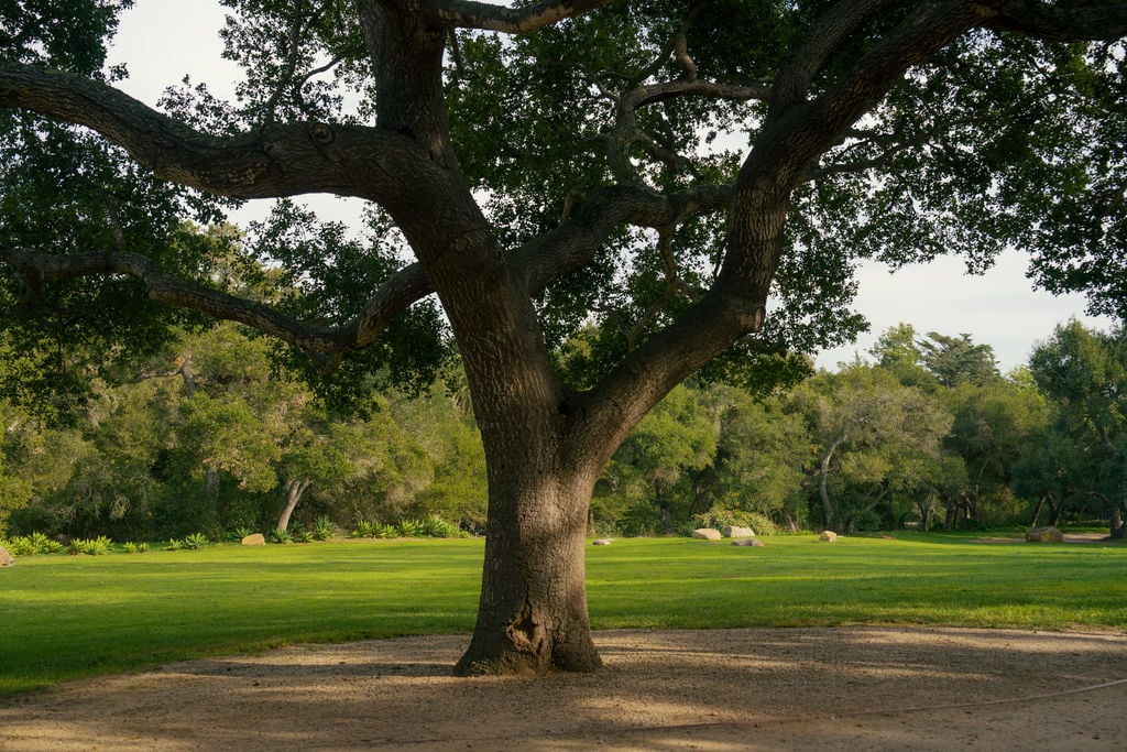 Mira Vista ~ Legacy Estate