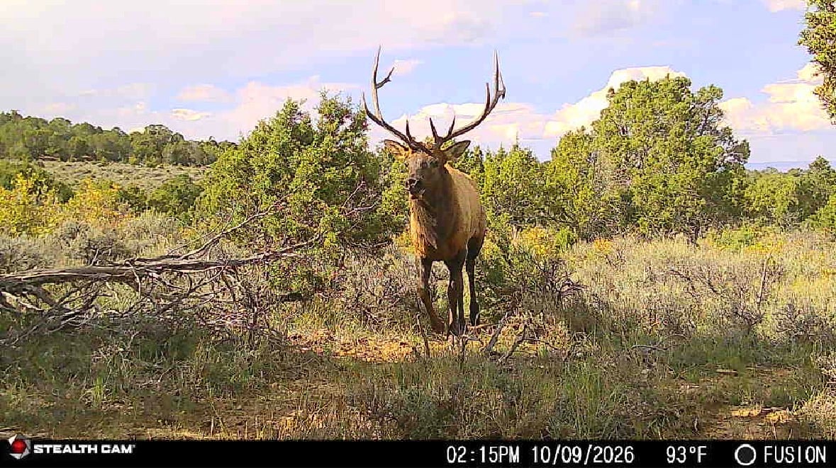 Buying a Colorado Hunting Ranch | What Buyers Need to Know Before They Buy