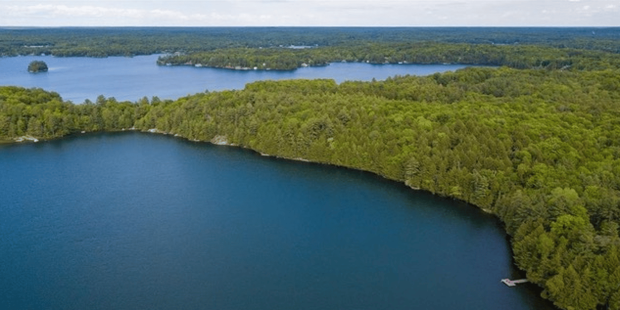 Silver Lake*