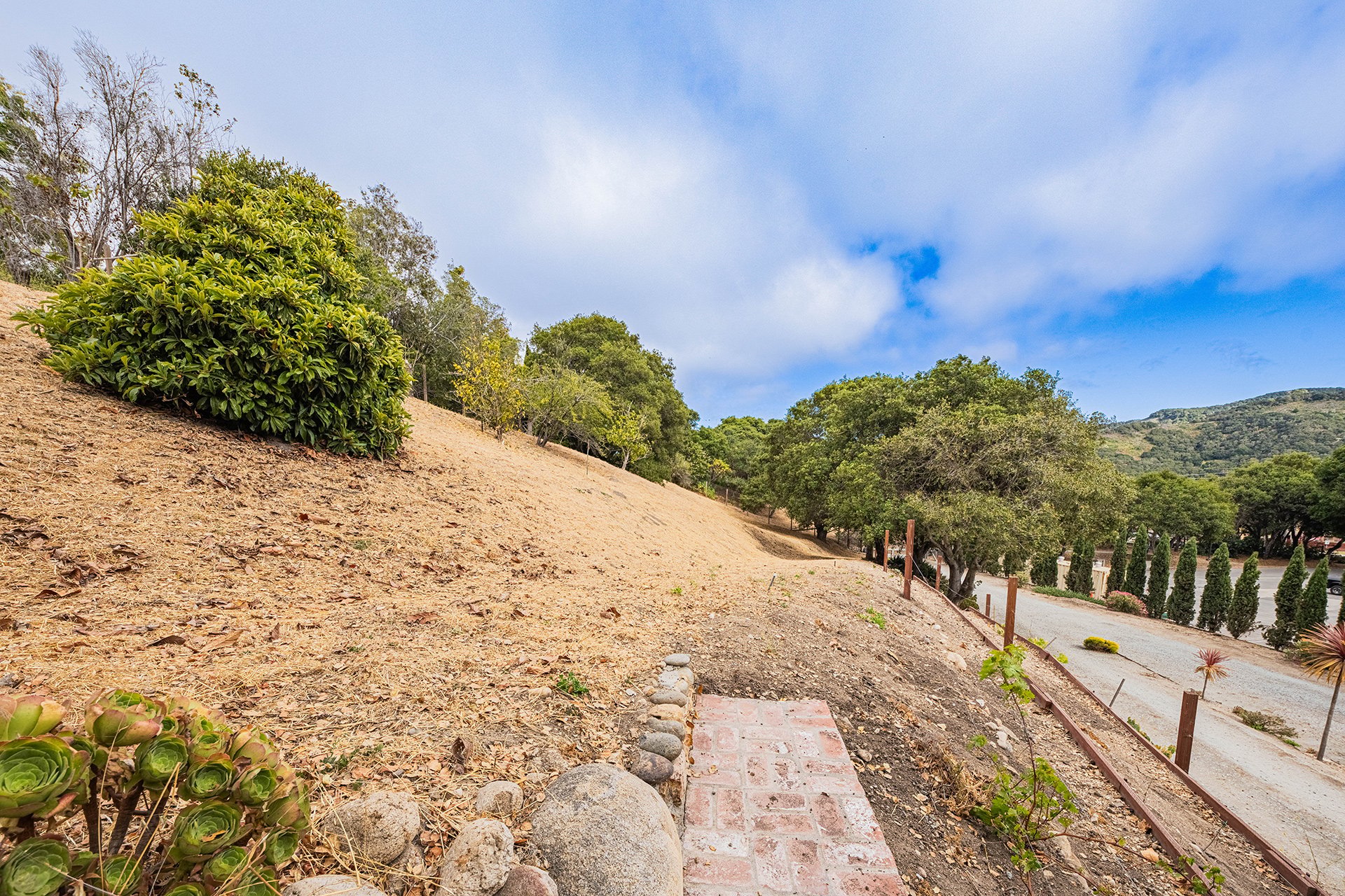 Nostro Sogno - Gated Carmel Valley Estate