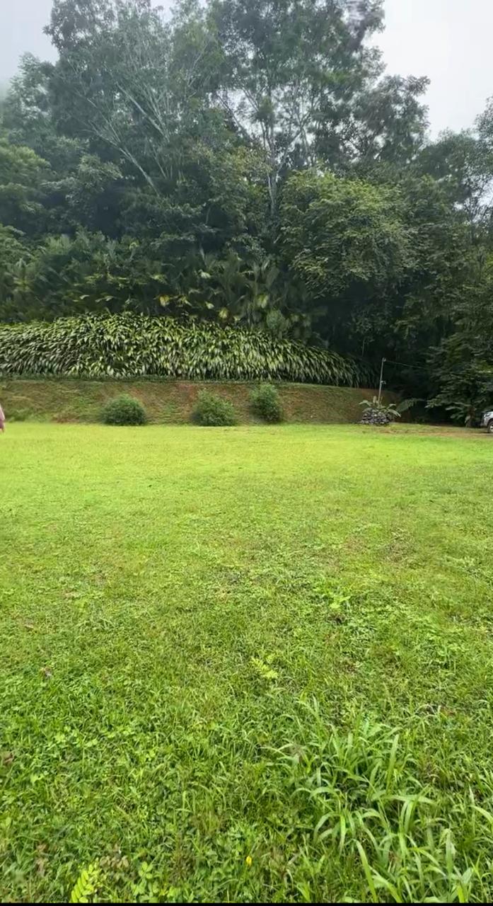 Build Amidst Untouched Jungle & Mountain Vistas | Ocean-View Estate with Fruit Orchards + Casita Design Your Vision in Tres Rios, Costa Rica