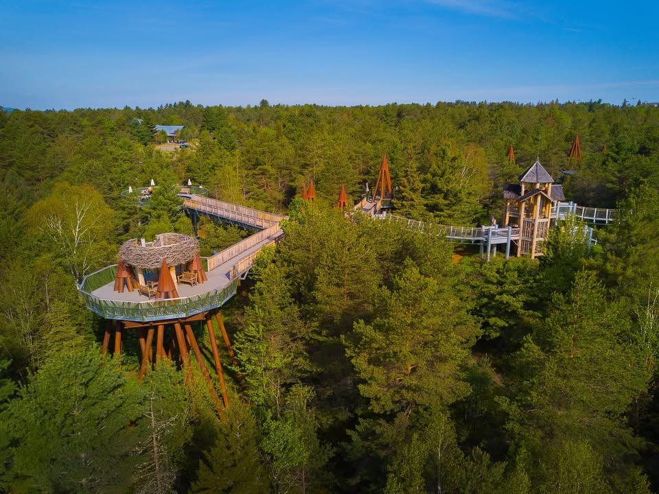 Tupper Lake's Wild Center